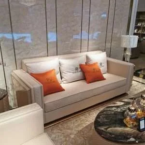 Italy luxury modern sofa (1)
