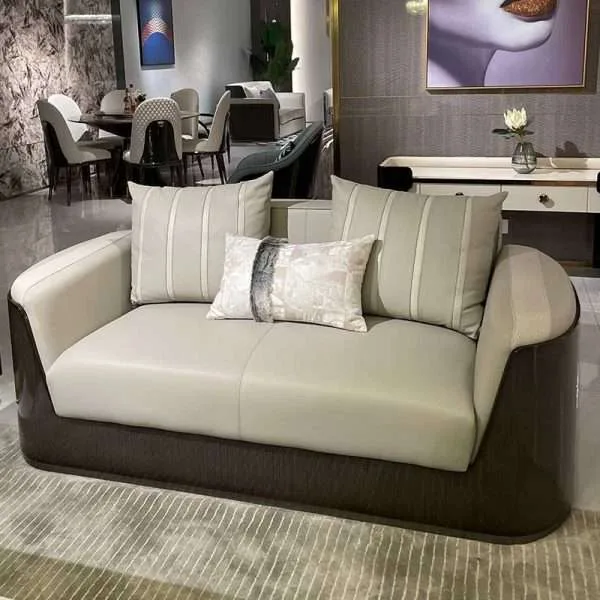 Luxury living room sofa furniture modern - Image 4